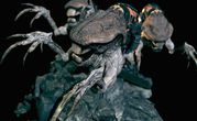 Gears of War 2 3