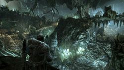 Gears Of War 2   Image 6
