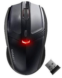 Gigabyte ECO500 1