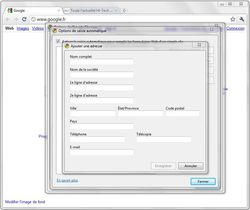 Google-Chrome-6-2