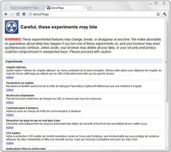 Google-Chrome-8-flags