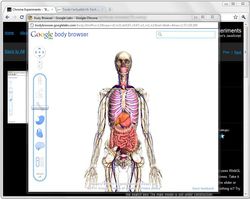 Google-Chrome-9-beta