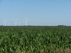 Google-energie-eolien