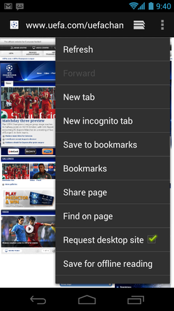 Google ICS 10