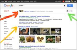 Google-resultats-personnalises