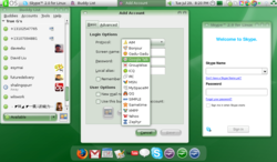 gOS_3_Google_Gadgets_Skype