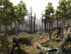 Gothic 3   Image 7