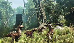 Gothic 4 Arcania - Image 16