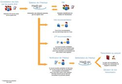 Hadopi-reponse-graduee