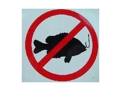 hameçonnage phishing (Small)
