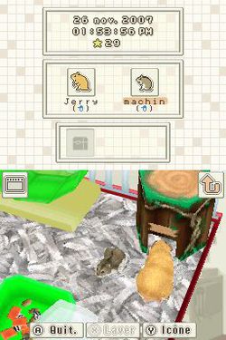 Hamsterz   1