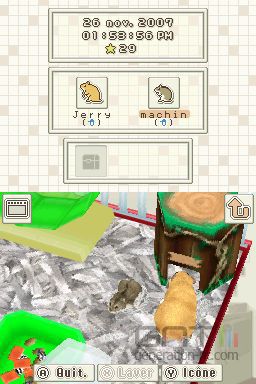 Hamsterz - 1