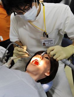 Hanako Showa Hanako Showa 1 2
