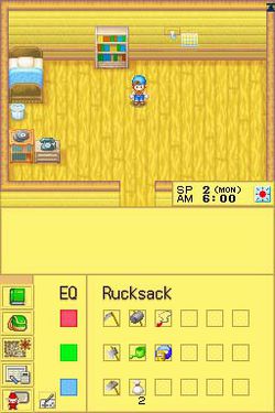Harvest Moon DS.jpg (1)