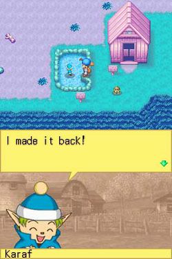Harvest Moon DS.jpg (2)