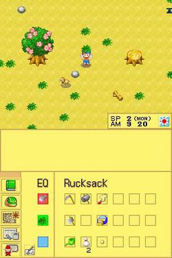 Harvest Moon DS.jpg (3)