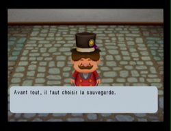 Harvest Moon Magical melody (14)
