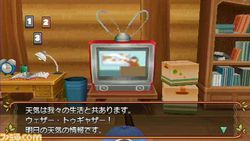 Harvest Moon : Sugar Village 5