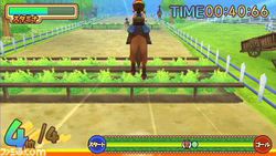 Harvest Moon : Sugar Village 9