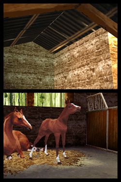 Horse Life   Image 2