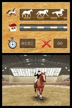 Horse Life   Image 3