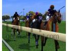 Horse racing manager 2 2 small Horse racing manager 2 2 small
