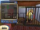 Horse tycoon small