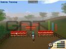 Horse tycoon small