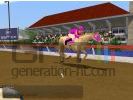 Horse tycoon small
