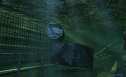 Hydrophobia 5