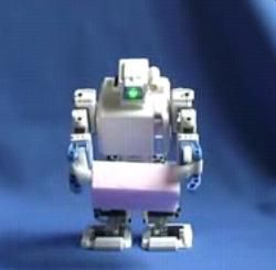 i Sobot 1