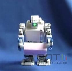 i-Sobot 1