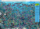 IE9fish