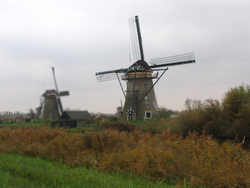 IMG_3620