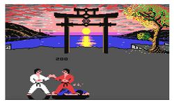 International Karate   1