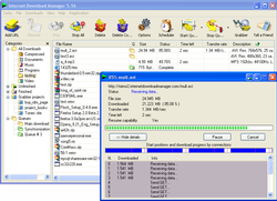 Internet Download Manager screen