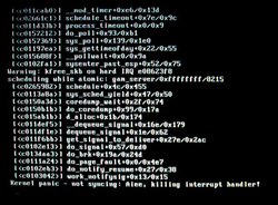kernel_panic