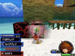 Kingdom Hearts Re Coded - 14