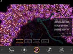 Life on Earth iBook