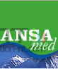 Logo ansamed
