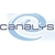 Canalys : Android possède 48% de part de marché mondiale