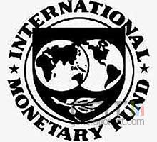 Logo fmi b