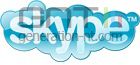 Logo skype