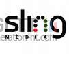 Logo sling media