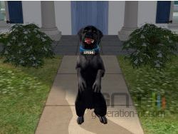 Lycos small Lycos small