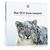 Apple publie Mac OS X 10.6.7 et une version MacBook Pro