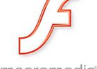 Macromedia Flash Player 8 (300x335)