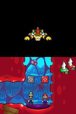 Mario & Luigi Voyage au centre de Bowser (5)