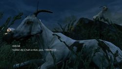 Medal of Honor (23)