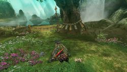 Monster Hunter Portable 3rd - 11
